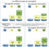 Les différents types de sauvegarde